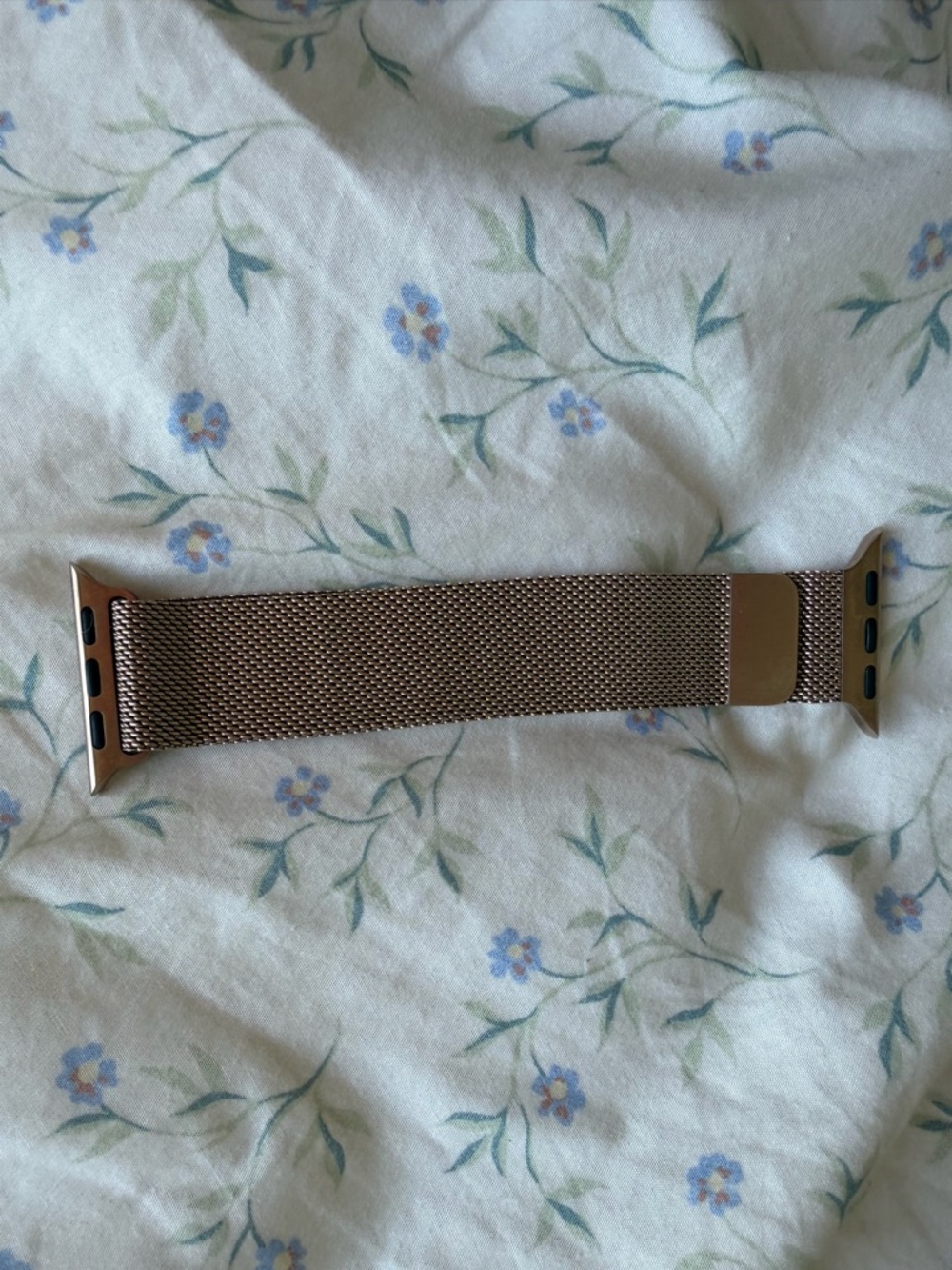 Apple Milanese Watch Band